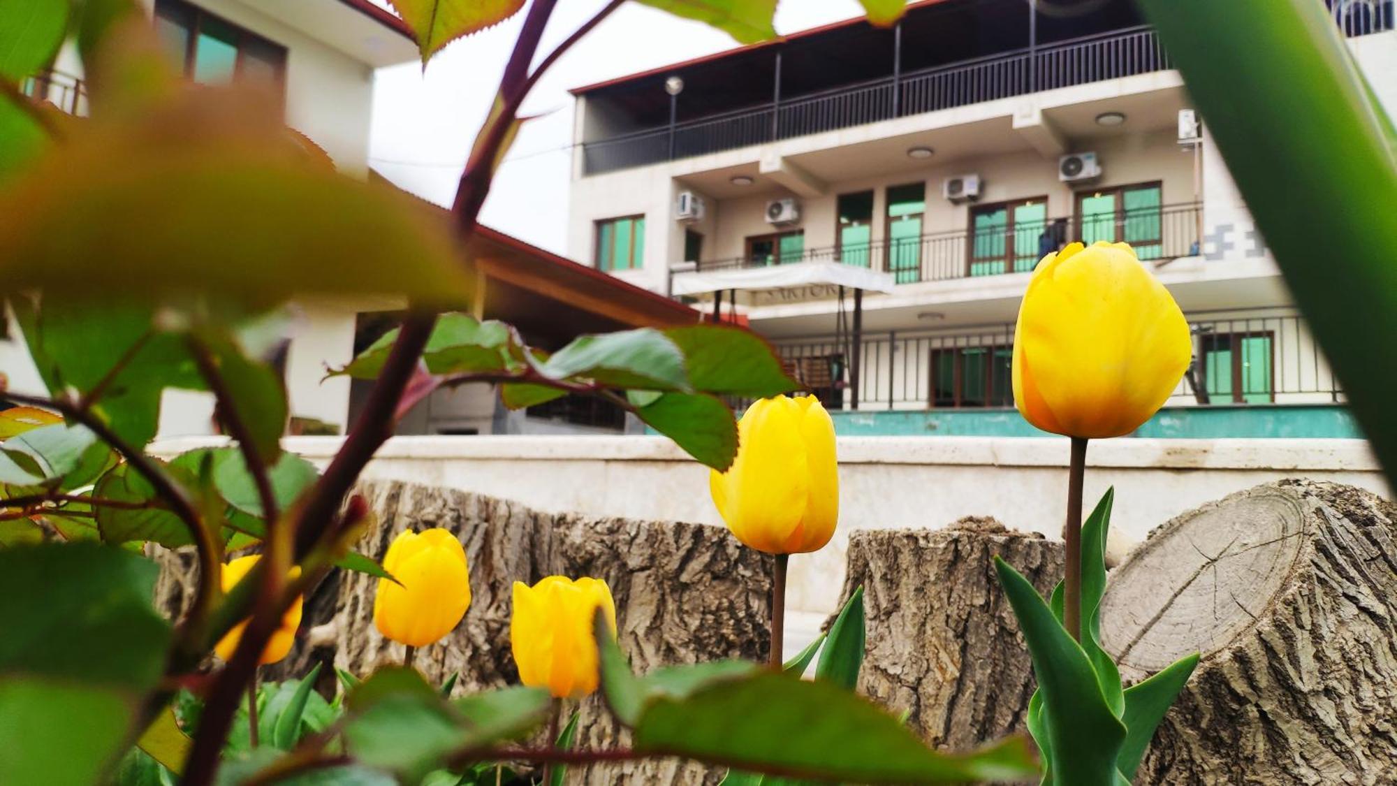 Apex Rest House Of 10 Rooms And Pool Yerevan Ngoại thất bức ảnh